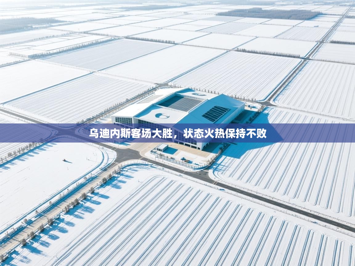 乌迪内斯客场大胜，状态火热保持不败  第1张